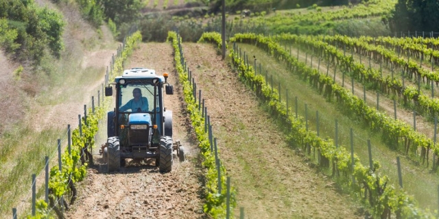 hombre en un tractor por un vinedo